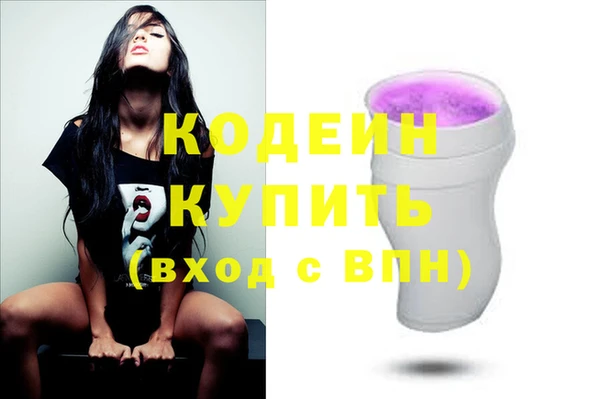 хмурый Богородицк