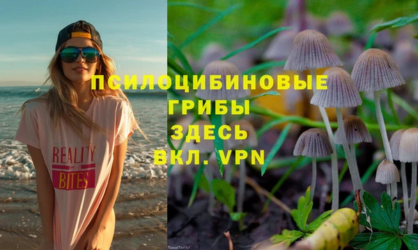 хмурый Богородицк