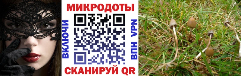 Псилоцибиновые грибы мухоморы  Малая Вишера 