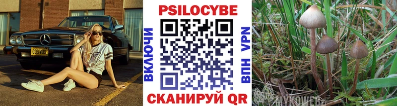 Галлюциногенные грибы GOLDEN TEACHER Малая Вишера